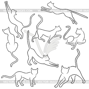 Eight outlines of funny cats - vector clipart