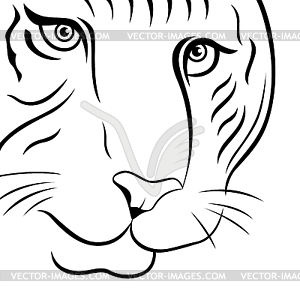 Part of funny tiger face - vector clip art
