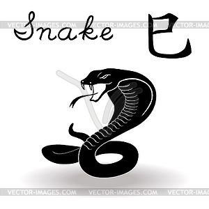 Chinese Zodiac Sign Snake - vector image