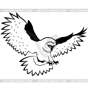 Funny owl in flight - vector clip art