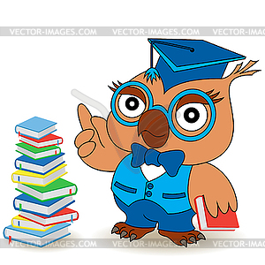 Serious Teacher Owl in glasses and in mortarboard - vector image