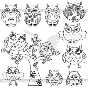 owl clip art black and white outline