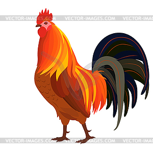 Proud Red Rooster - vector clipart