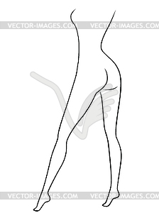 Изящные женские длинные ноги - рисунок в векторе