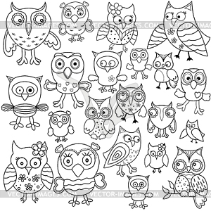 Set of amusing owl outlines - vector clipart