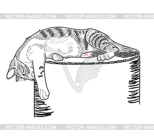 Cute tabby cat - vector image