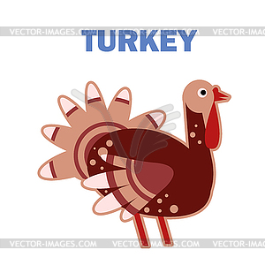 Domestic bird turkey - vector clipart