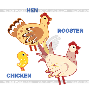Domestic birds rooster, hen and chicken - vector clipart