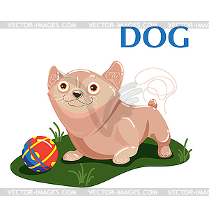 Educational flashcard dog plays with ball on grass - vector EPS clipart