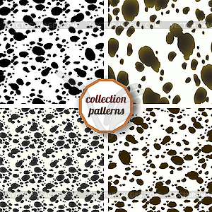 Seamless pattern. Design animal print pattern - vector image