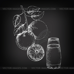 Hand-drawing of sketch orange for design - vector image