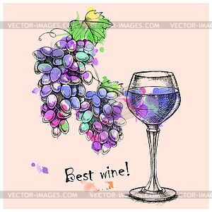 Sketch grapes, wine of for design - vector EPS clipart