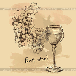 Sketch grapes, wine of for design - vector image