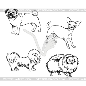 Sketch of set dogs for design - vector image