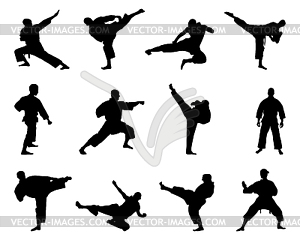 Karate fighting - vector clipart