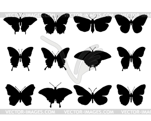 Butterflies - vector clipart