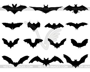 Bats - vector image