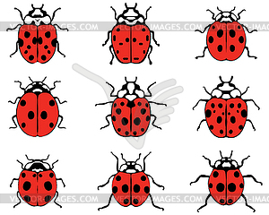 Cheerful ladybugs - vector clipart