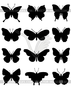 Silhouettes of butterflies - stock vector clipart