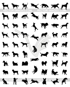 Races of dogs - vector image