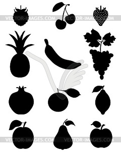 Silhouettes of fruit - vector clipart / vector image