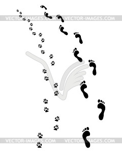Feet and dog paws - stock vector clipart