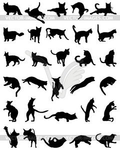 Silhouettes of cats - vector image