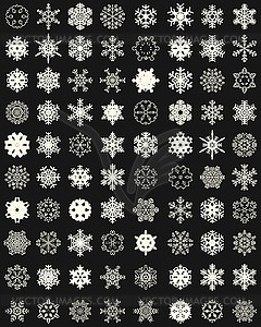 Set of different snowflakes - vector clipart