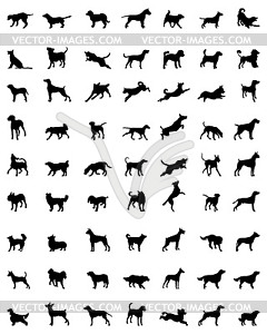 Silhouettes of dogs - vector image