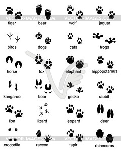 Набор следов диких животных - изображение в векторном формате
