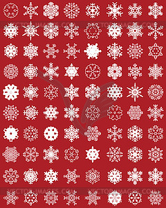 Set of different white snowflakes - color vector clipart