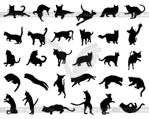 Silhouette of cats - vector clipart