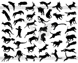 Animals in a jump - vector clip art