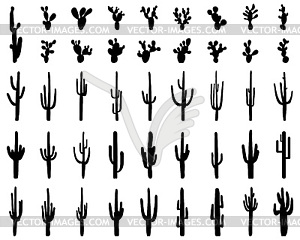 Black silhouettes of cactus - vector image