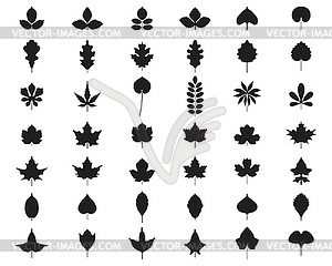 Black silhouettes of foliage - vector image