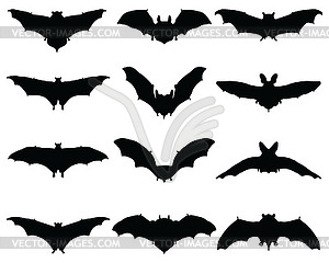  silhouettes of different bats - vector image