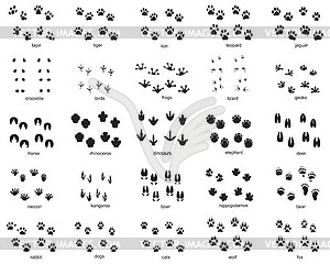 Множество следов диких животных - векторная иллюстрация