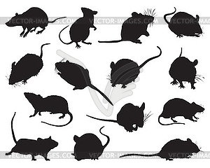 Black silhouettes of mouses - vector clip art