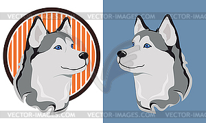 Husky dog - vector clip art