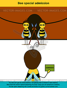 Специальный допуск пчелы - цветной векторный клипарт