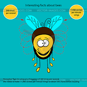 Интересный факт о пчелах - векторизованное изображение клипарта