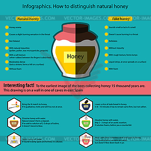 Infographics. How to distinguish natural honey of - stock vector clipart