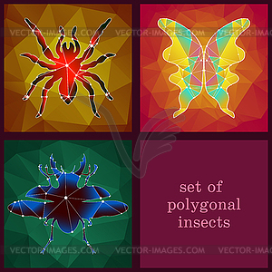Set of polygonal insects - vector clipart / vector image