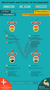 Varieties of honey Polyphlore - vector clipart