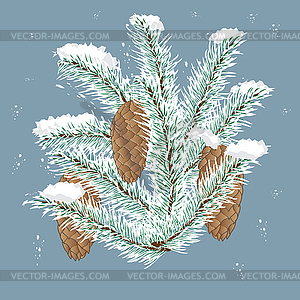 Spruce branch with cones , background, winter - vector clipart
