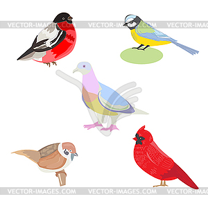 Set of images of birds, bi - vector image