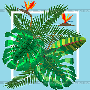 Tropical leaves. Floral design background - vector clip art