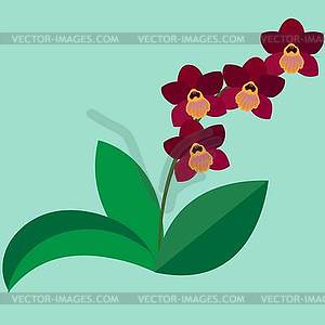 Орхидея цветок на синем фоне - векторный клипарт