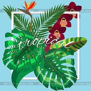 Tropical leaves. Floral design background - vector clip art