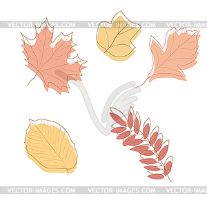 Autumn Leaves , - vector clip art
